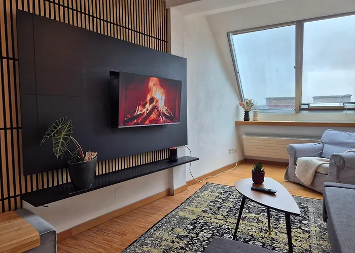 Apartment Rooftop Loft