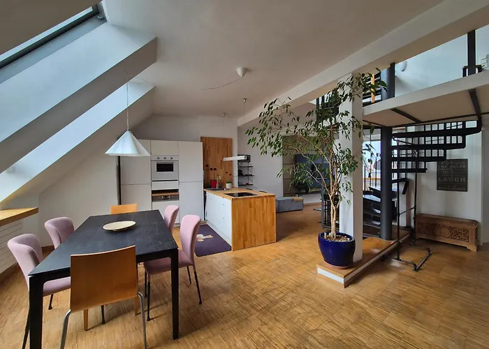 Apartment Rooftop Loft *